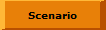 Scenario