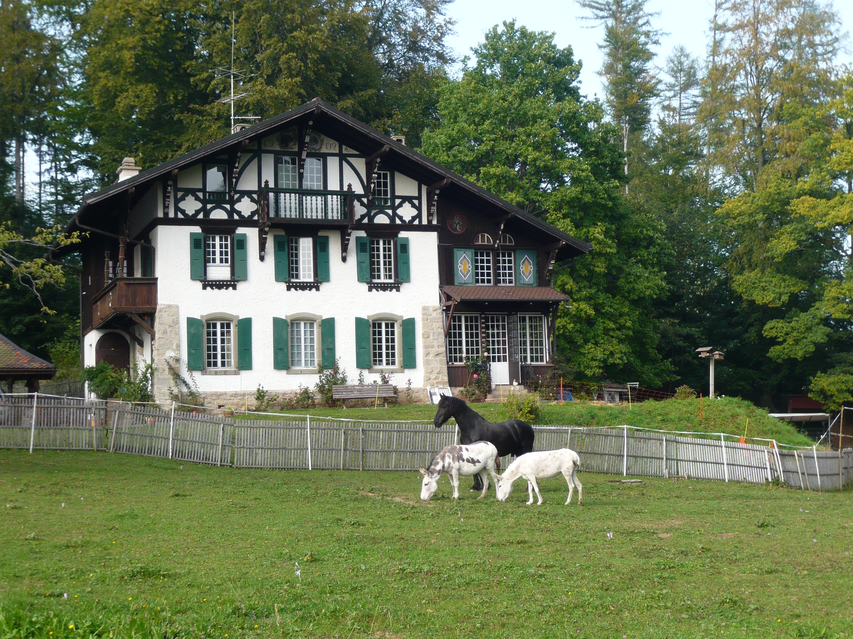 maison et animaux